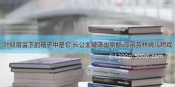 叶轻眉留下的箱子中是它 长公主被逐出京都 范闲与林婉儿吻戏