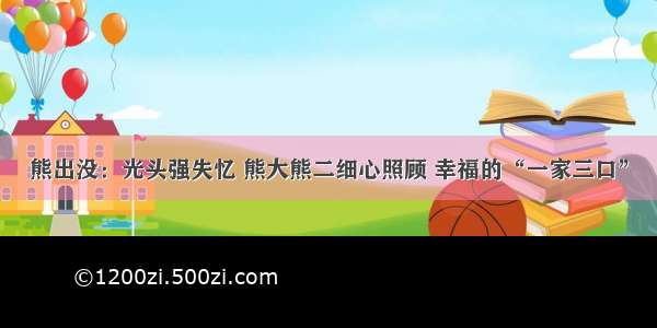 熊出没：光头强失忆 熊大熊二细心照顾 幸福的“一家三口”