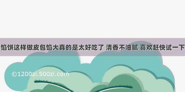 馅饼这样做皮包馅大真的是太好吃了 清香不油腻 喜欢赶快试一下