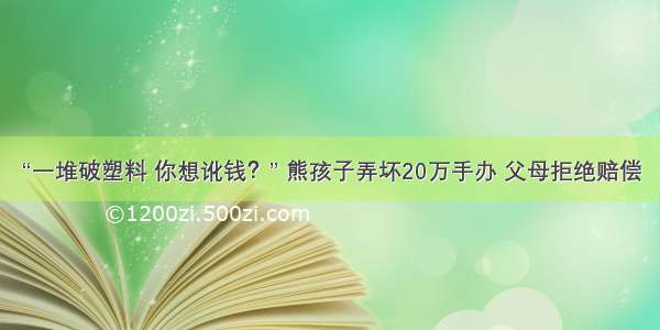 “一堆破塑料 你想讹钱？” 熊孩子弄坏20万手办 父母拒绝赔偿