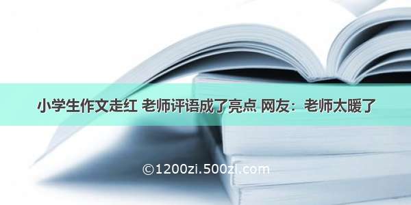 小学生作文走红 老师评语成了亮点 网友：老师太暖了