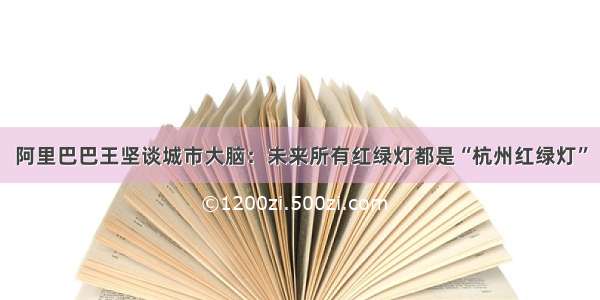 阿里巴巴王坚谈城市大脑：未来所有红绿灯都是“杭州红绿灯”