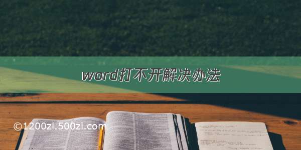 word打不开解决办法