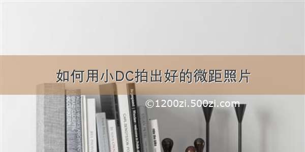 如何用小DC拍出好的微距照片