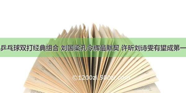 乒乓球双打经典组合 刘国梁孔令辉最默契 许昕刘诗雯有望成第一