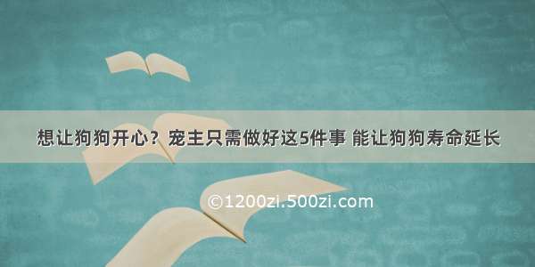 想让狗狗开心？宠主只需做好这5件事 能让狗狗寿命延长