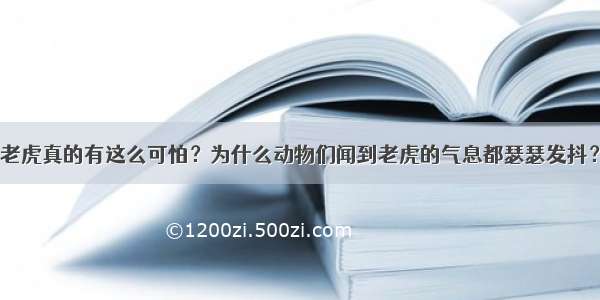 老虎真的有这么可怕？为什么动物们闻到老虎的气息都瑟瑟发抖？