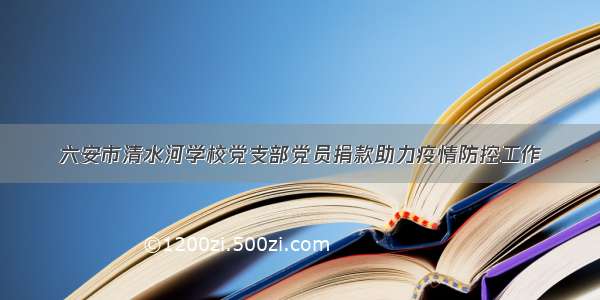 六安市清水河学校党支部党员捐款助力疫情防控工作