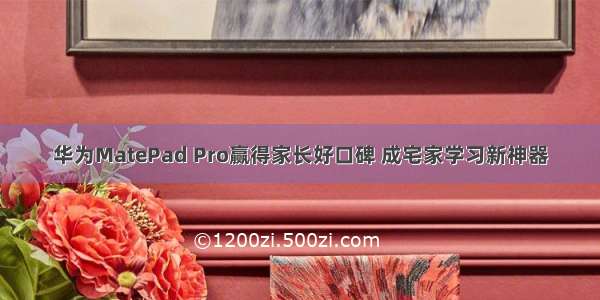 华为MatePad Pro赢得家长好口碑 成宅家学习新神器