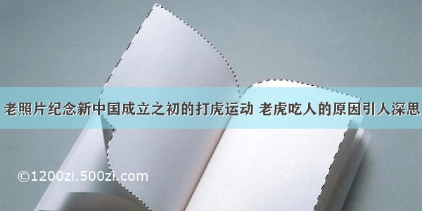 老照片纪念新中国成立之初的打虎运动 老虎吃人的原因引人深思