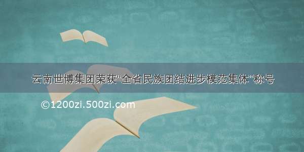 云南世博集团荣获“全省民族团结进步模范集体”称号