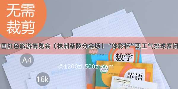 中国红色旅游博览会（株洲茶陵分会场）“体彩杯”职工气排球赛闭幕