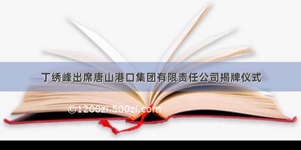 丁绣峰出席唐山港口集团有限责任公司揭牌仪式