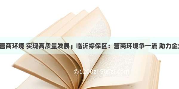 「优化营商环境 实现高质量发展」临沂综保区：营商环境争一流 助力企业快发展