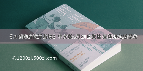 《刀剑神域彼岸游境》中文版5月21日发售 豪华限定版曝光