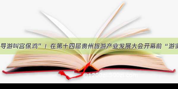 “我的导游叫宫保鸡”！在第十四届贵州旅游产业发展大会开幕前“游览”织金