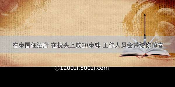 在泰国住酒店 在枕头上放20泰铢 工作人员会带给你惊喜