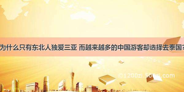 为什么只有东北人独爱三亚 而越来越多的中国游客却选择去泰国？