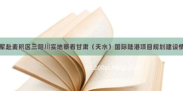 王军赴麦积区三阳川实地察看甘肃（天水）国际陆港项目规划建设情况