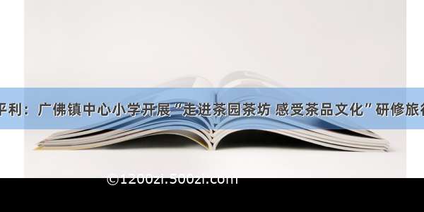 陕西平利：广佛镇中心小学开展“走进茶园茶坊 感受茶品文化”研修旅行活动