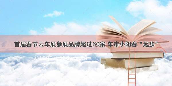 首届春节云车展参展品牌超过60家 车市小阳春“起步”