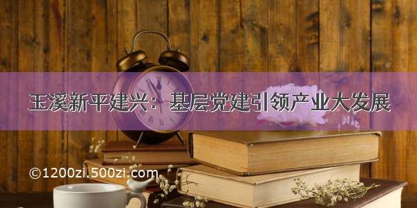 玉溪新平建兴：基层党建引领产业大发展