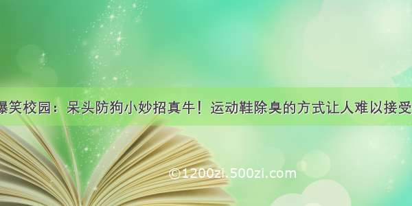 爆笑校园：呆头防狗小妙招真牛！运动鞋除臭的方式让人难以接受？