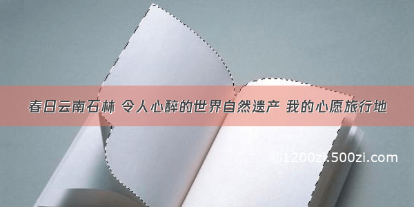 春日云南石林 令人心醉的世界自然遗产 我的心愿旅行地