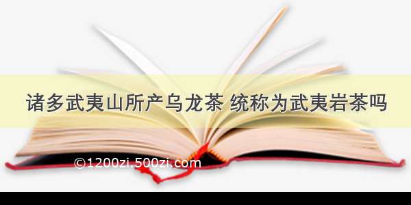 诸多武夷山所产乌龙茶 统称为武夷岩茶吗