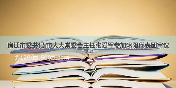 宿迁市委书记 市人大常委会主任张爱军参加沭阳代表团审议