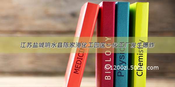 江苏盐城响水县陈家港化工园区一化工厂发生爆炸