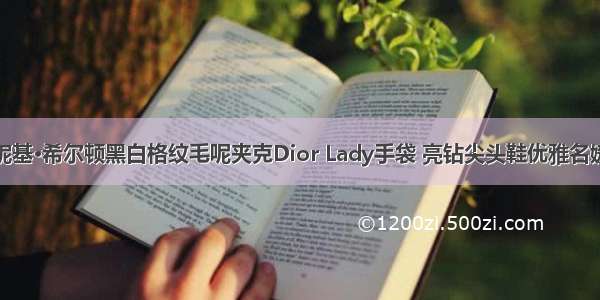 妮基·希尔顿黑白格纹毛呢夹克Dior Lady手袋 亮钻尖头鞋优雅名媛