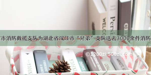 哈尔滨市消防救援支队为湖北省汉江市“兄弟”支队送去3000余件消防宣传品