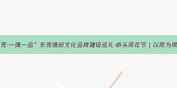 “品质东莞·一镇一品”东莞镇街文化品牌建设巡礼·桥头荷花节｜以荷为媒 相约桥头