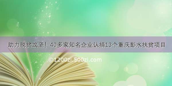 助力脱贫攻坚！40多家知名企业认捐13个重庆彭水扶贫项目