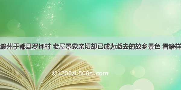 赣州于都县罗坪村 老屋景象亲切却已成为逝去的故乡景色 看啥样