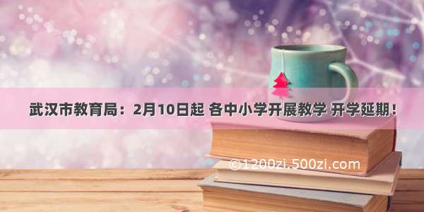 武汉市教育局：2月10日起 各中小学开展教学 开学延期！