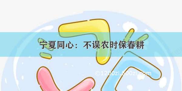 宁夏同心：不误农时保春耕