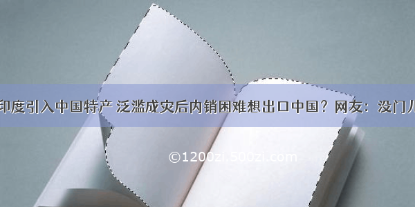 印度引入中国特产 泛滥成灾后内销困难想出口中国？网友：没门儿