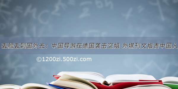 丢脸丢到国外去：中国导游在德国袭击空姐 外媒刊文指责中国人