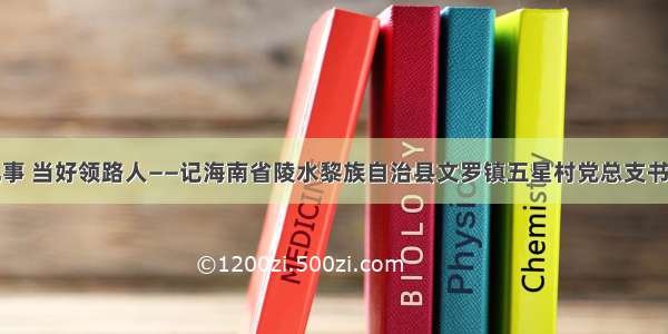 做好平凡事 当好领路人――记海南省陵水黎族自治县文罗镇五星村党总支书记黄丽萍