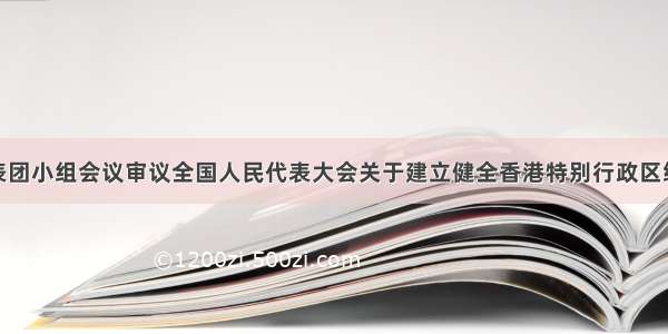 黑龙江省代表团小组会议审议全国人民代表大会关于建立健全香港特别行政区维护国家安全