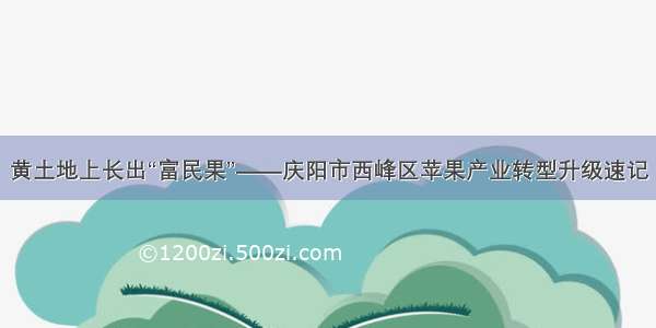 黄土地上长出“富民果”——庆阳市西峰区苹果产业转型升级速记