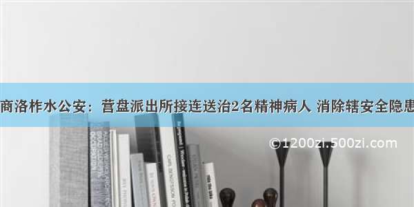 商洛柞水公安：营盘派出所接连送治2名精神病人 消除辖安全隐患