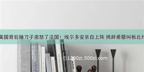 美国背后捅刀子激怒了法国！埃尔多安亲自上阵 挑衅希腊叫板北约