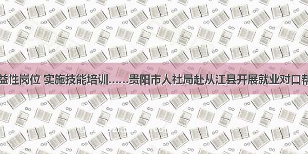 开发公益性岗位 实施技能培训……贵阳市人社局赴从江县开展就业对口帮扶工作