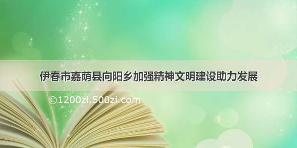 伊春市嘉荫县向阳乡加强精神文明建设助力发展