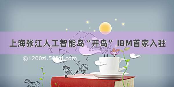 上海张江人工智能岛“开岛” IBM首家入驻