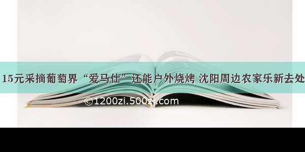 15元采摘葡萄界“爱马仕”还能户外烧烤 沈阳周边农家乐新去处