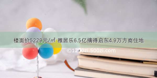 楼面价5229元/㎡ 雅居乐6.5亿摘得启东4.9万方商住地